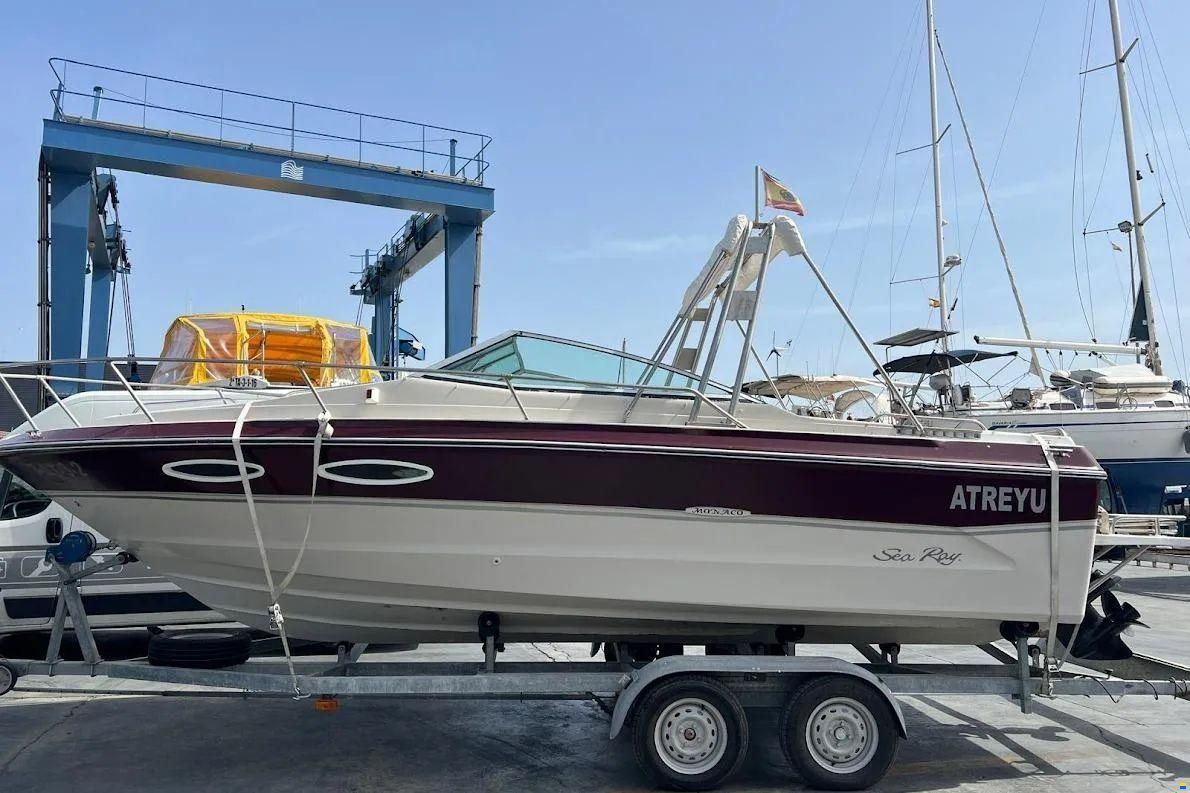 Sea Ray 210