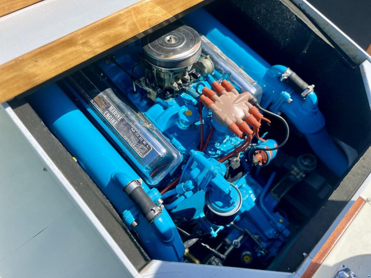 Riva Junior
