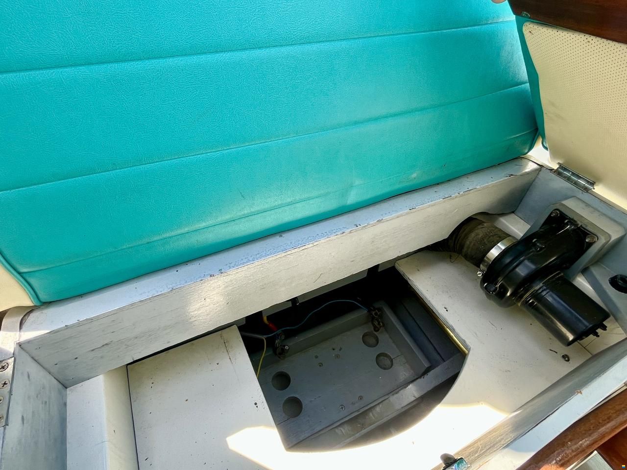 Riva Junior