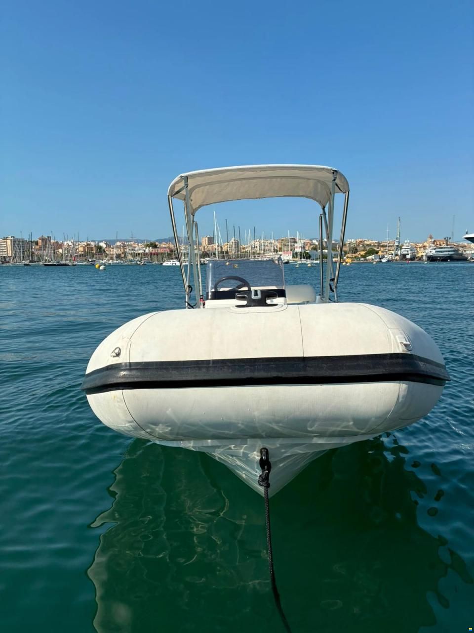 Willams SportJet 520