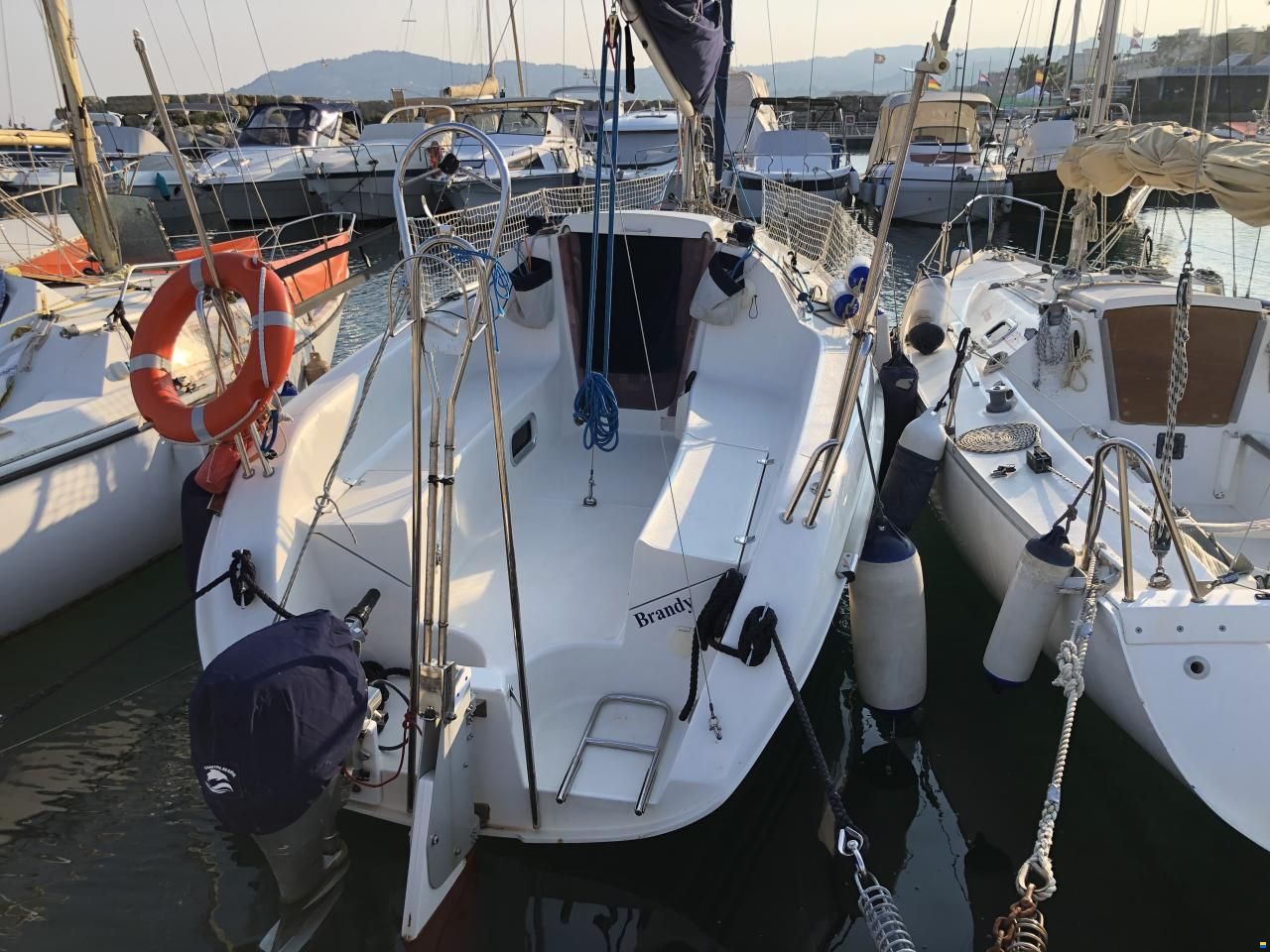 Delphia 24