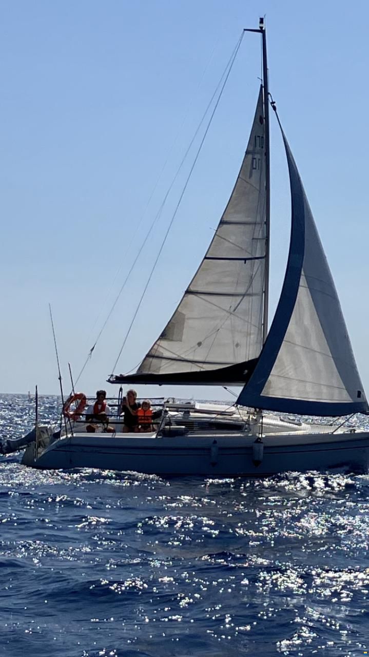 Delphia 24