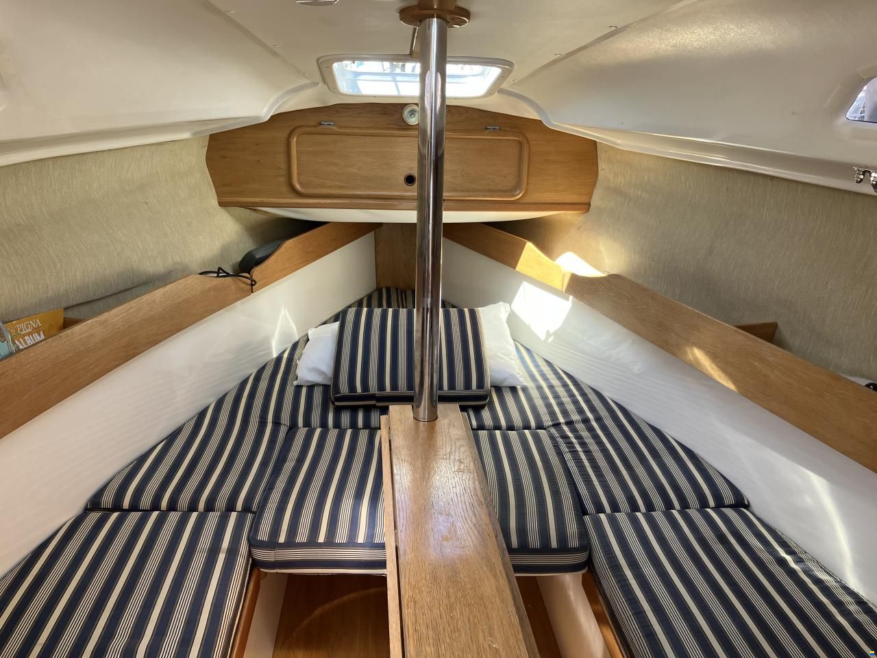 Delphia 24