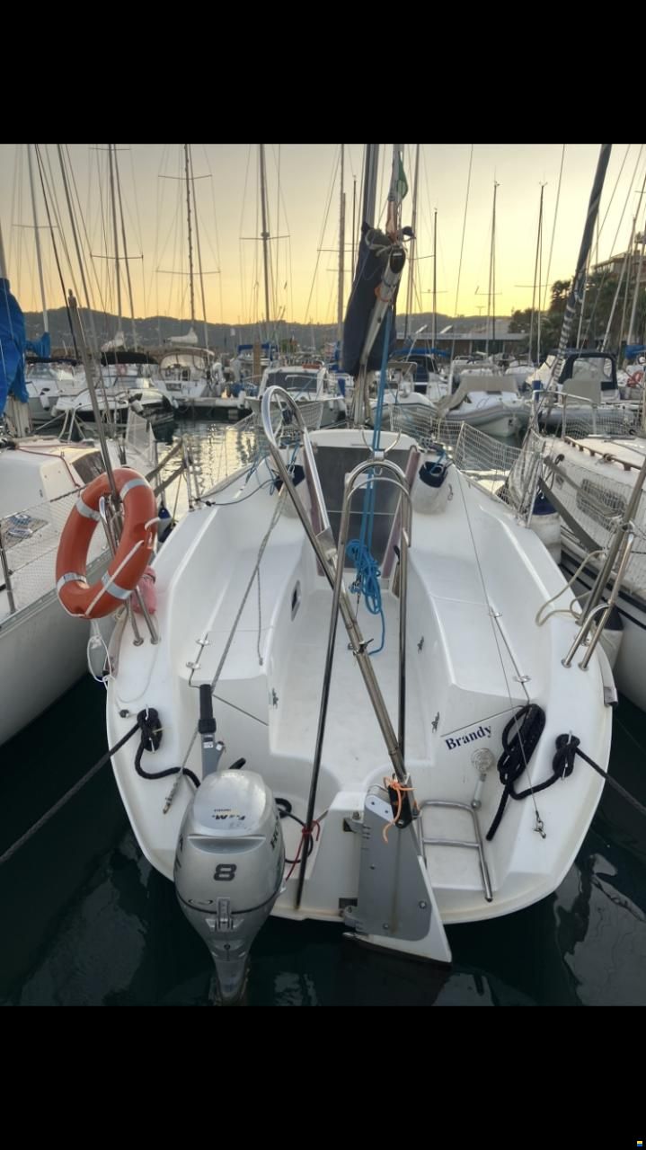 Delphia 24