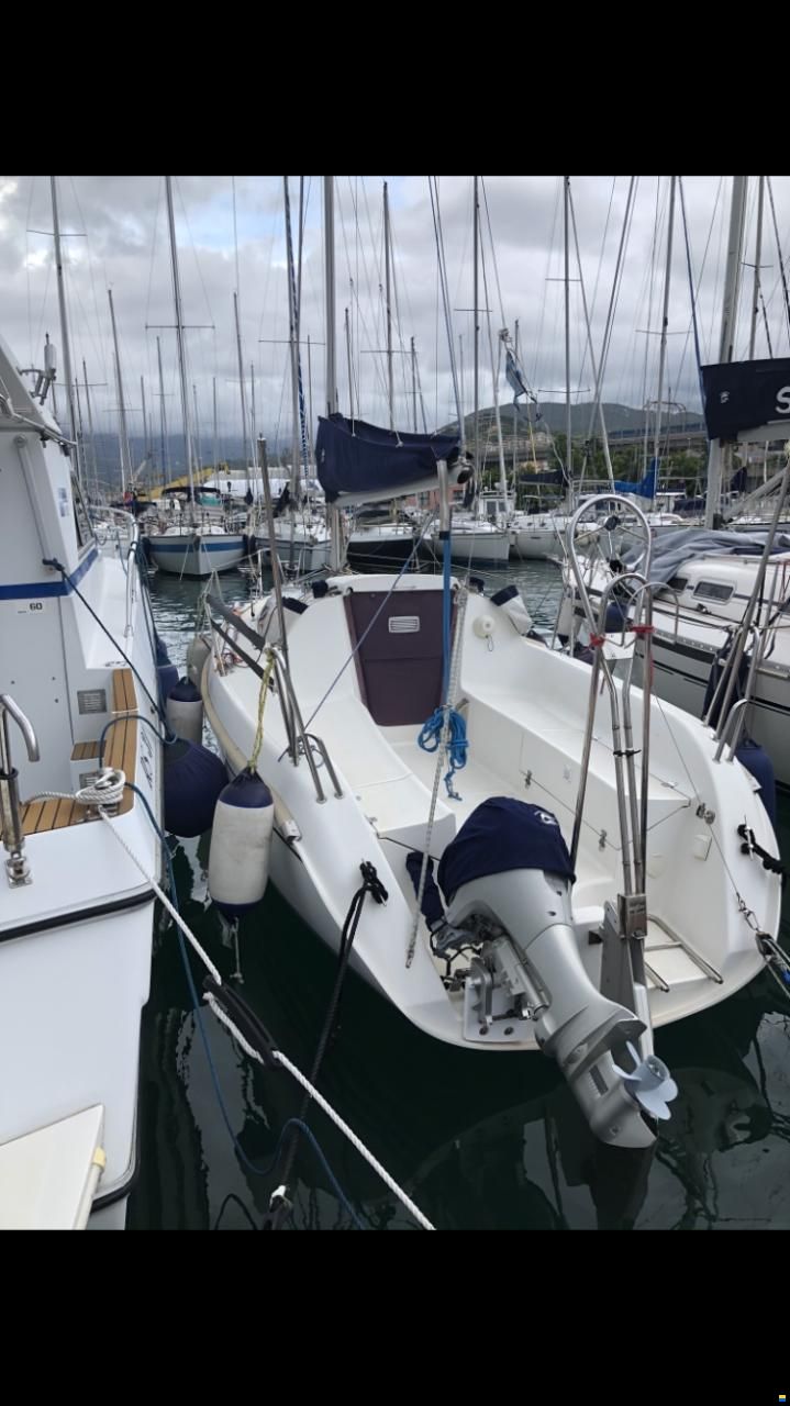 Delphia 24