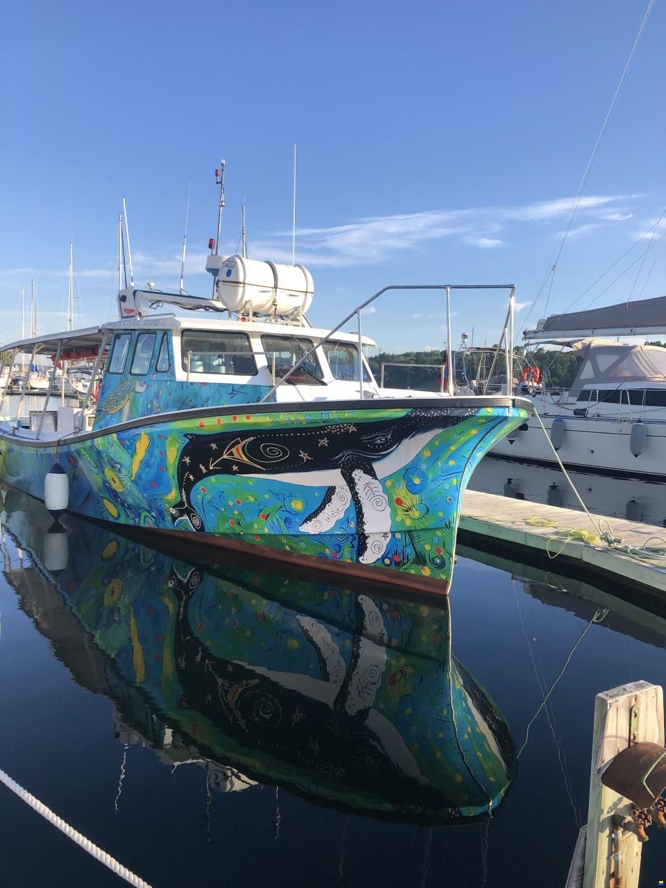 Electric tour/fishing commercial vessel