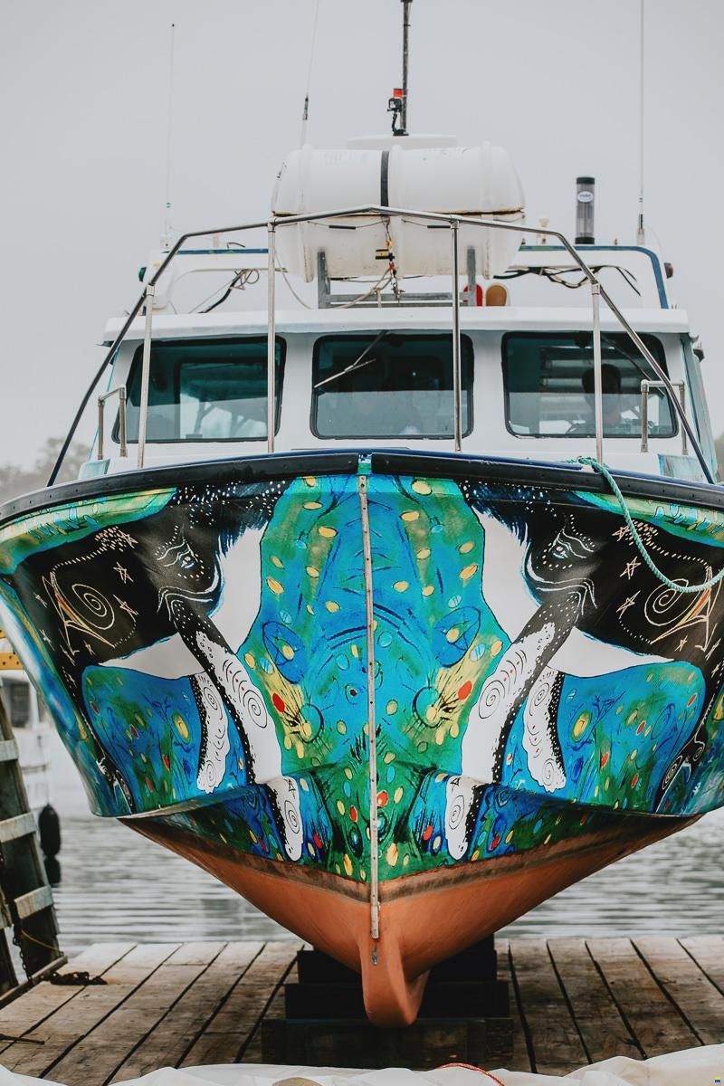 Electric tour/fishing commercial vessel