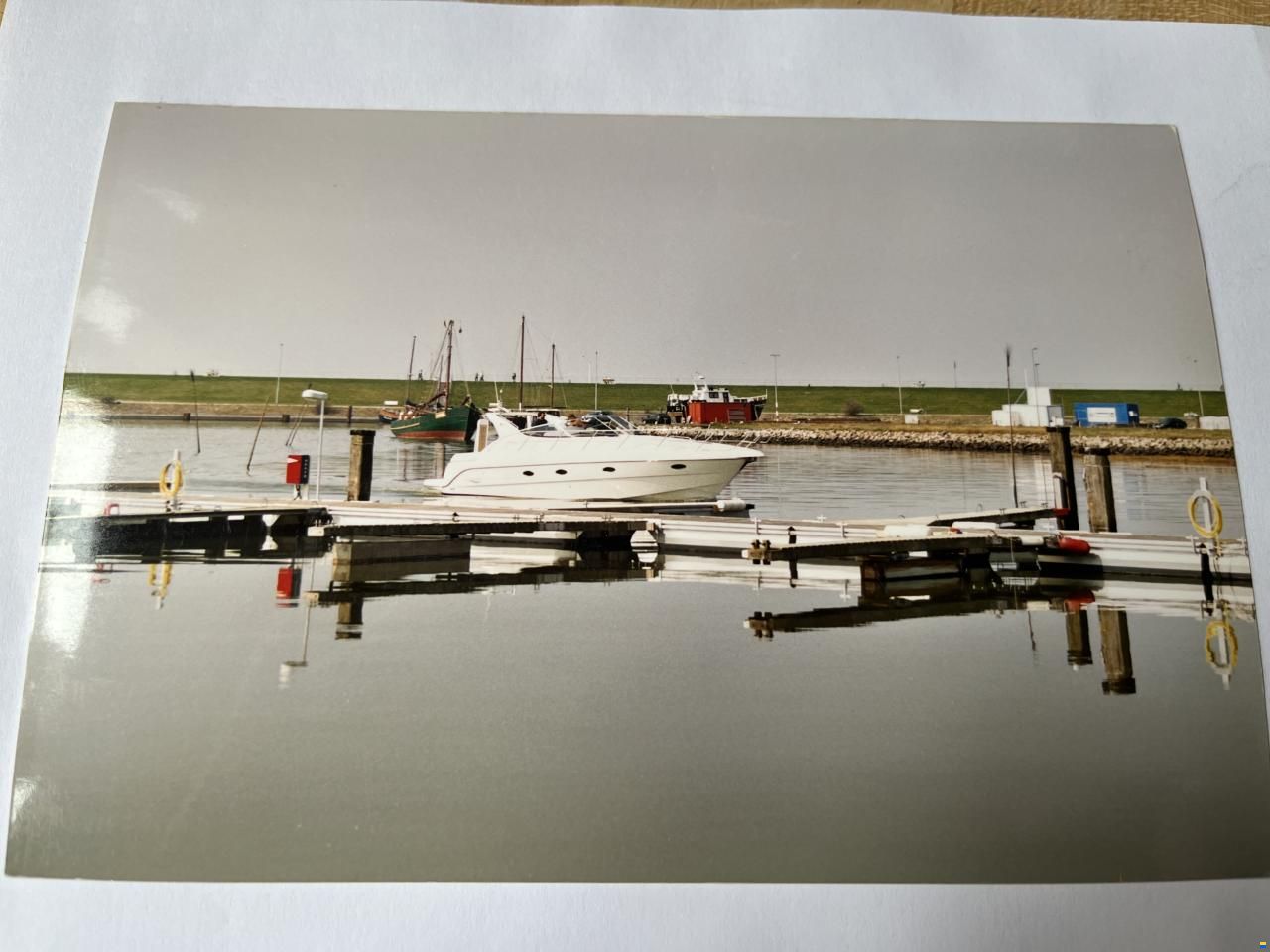 Sessa Oyster 38