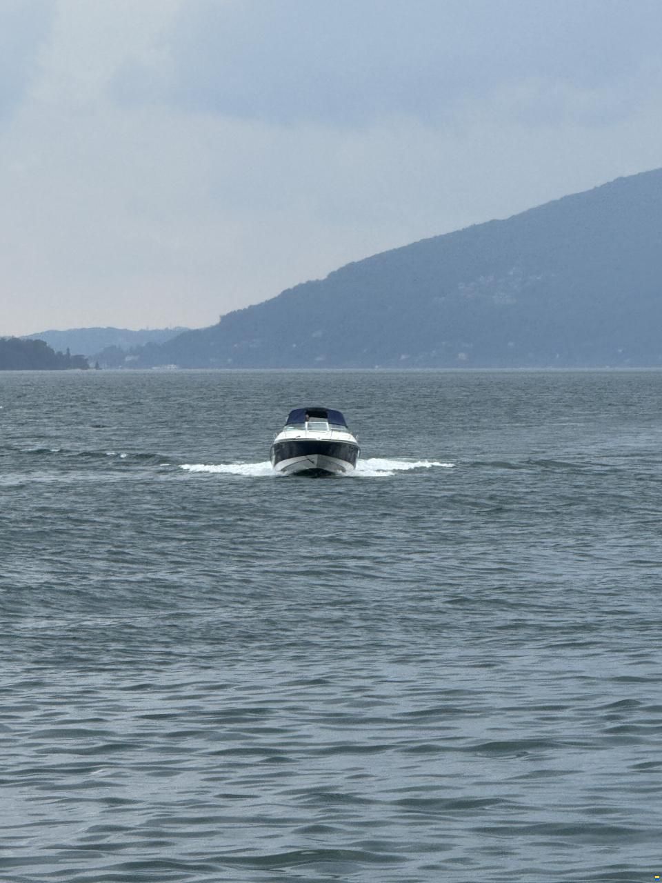 Viper V 243