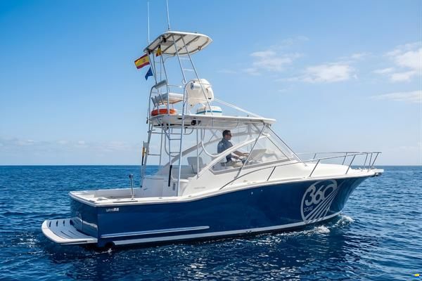LUHRS 31 Open