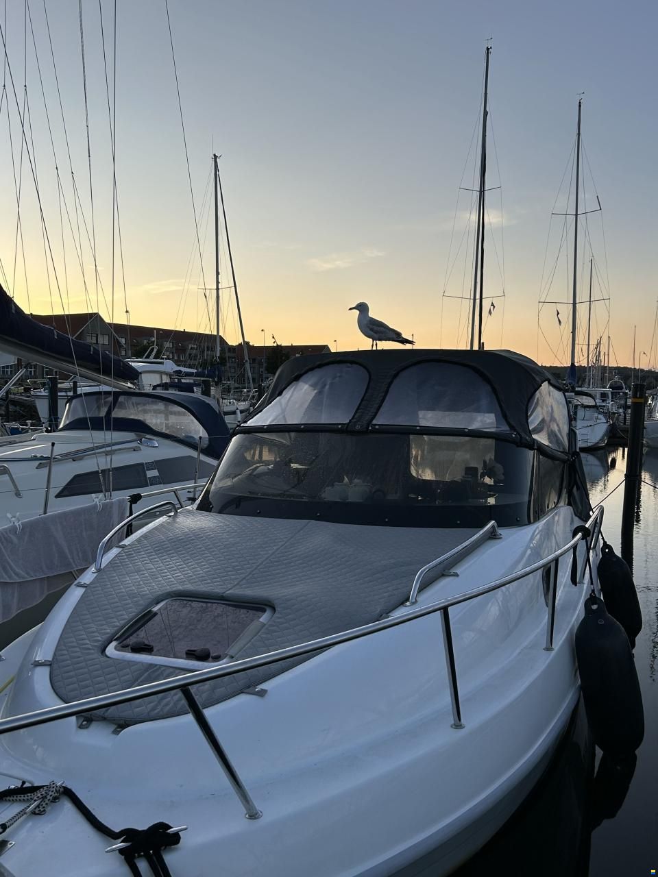 Saver 690 Cabin Sport