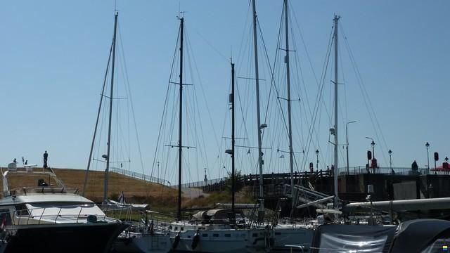 Suncoast 48