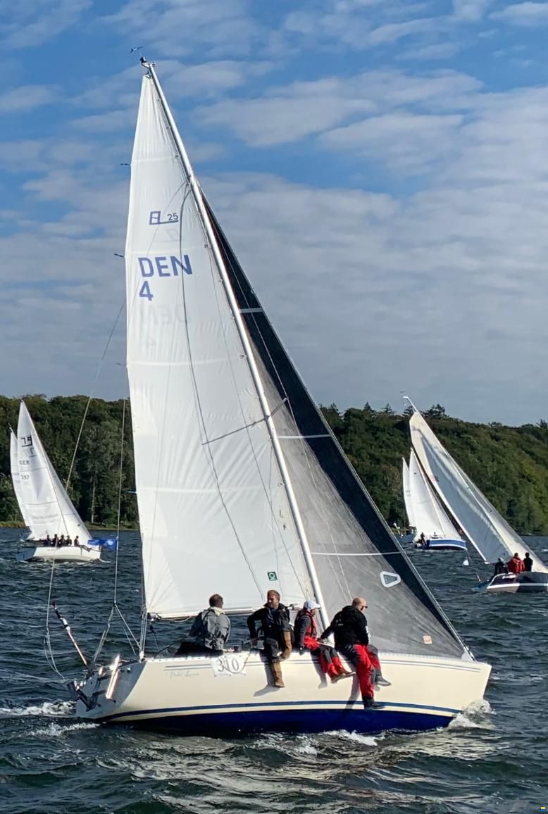 Larsen 25