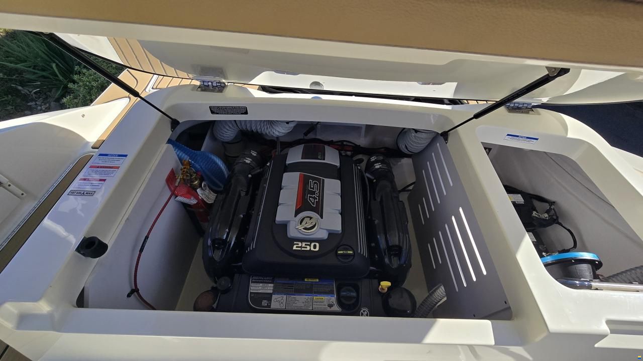 Sea Ray SPX 210 Europe