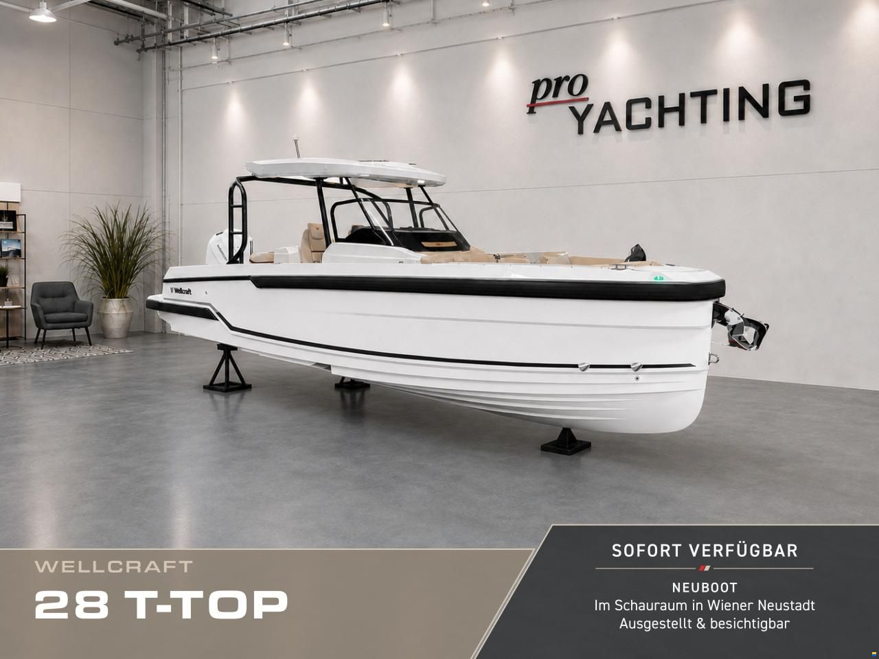Wellcraft 28 T-Top
