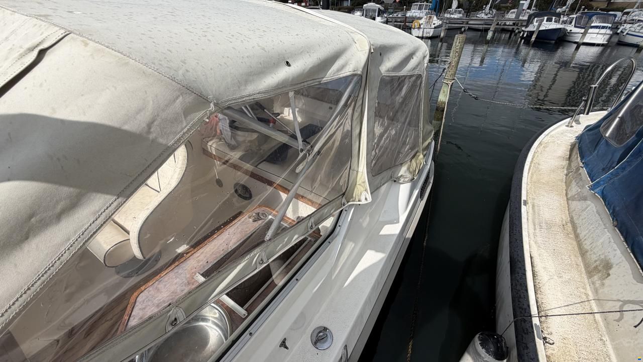 Laguna 7500