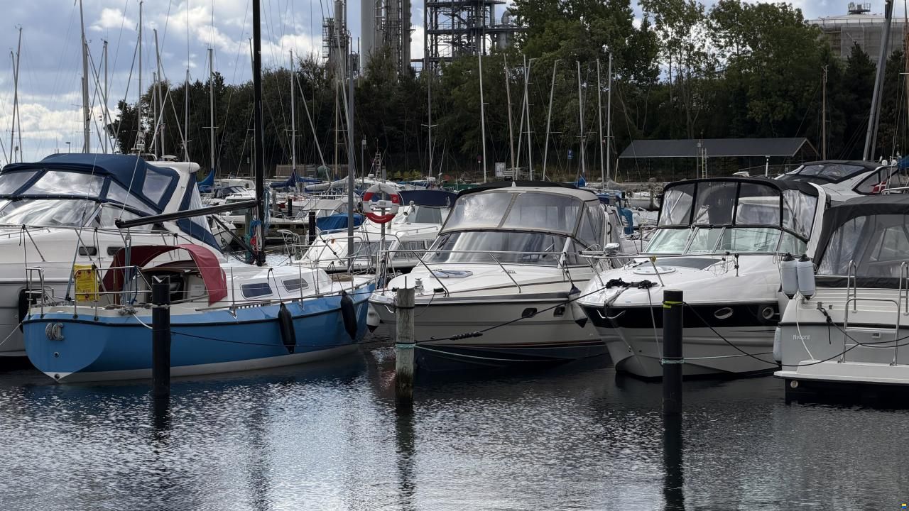 Princess 266 Riveria