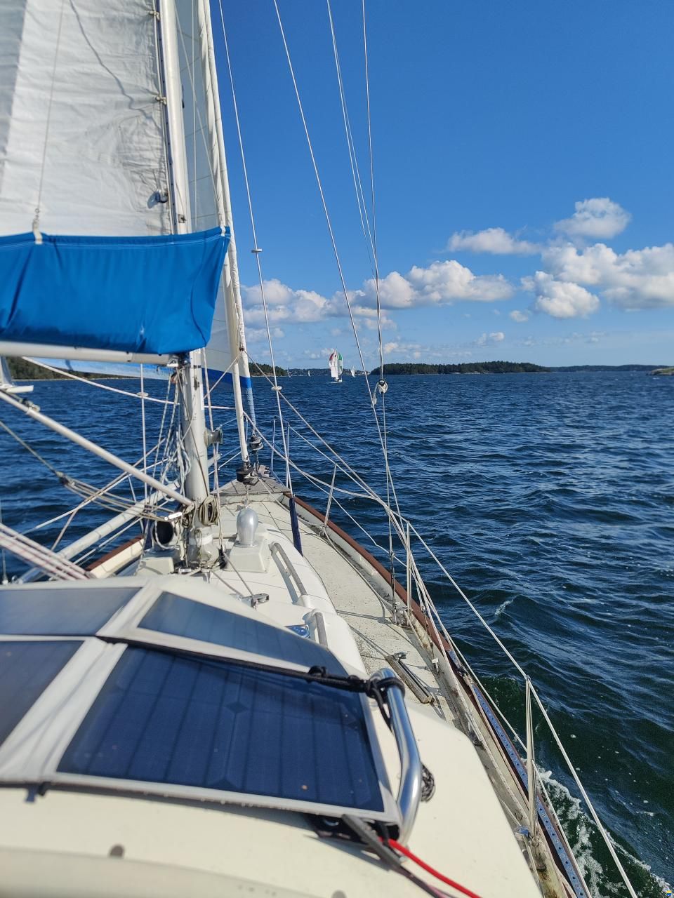 Harmony 31