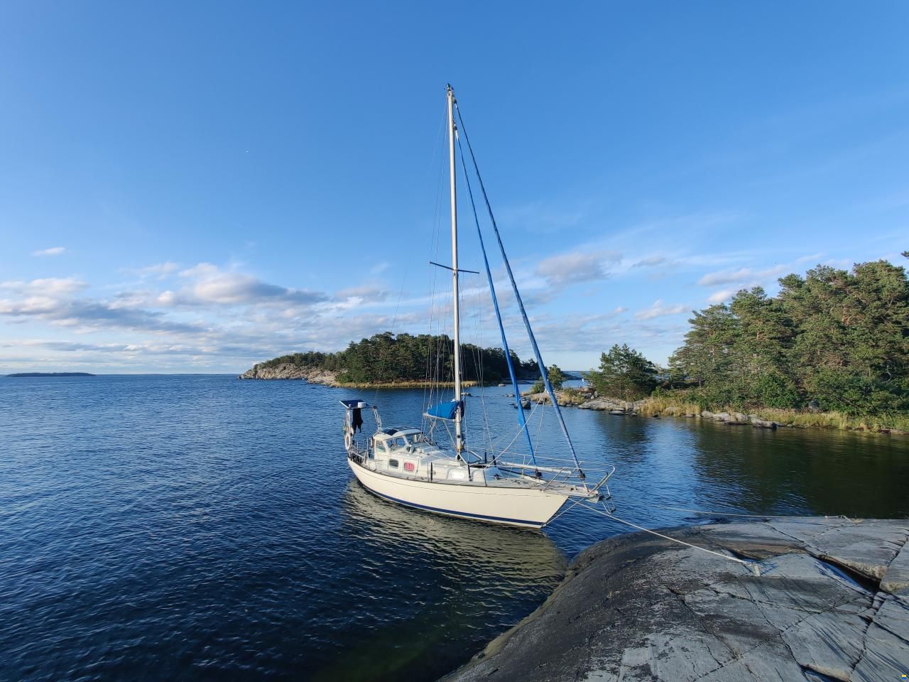 Harmony 31