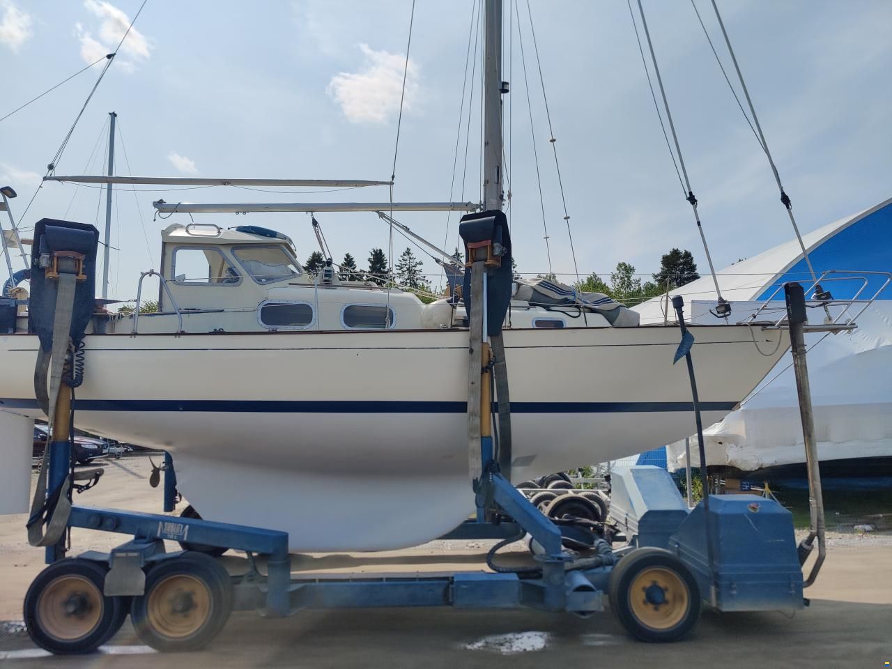 Harmony 31