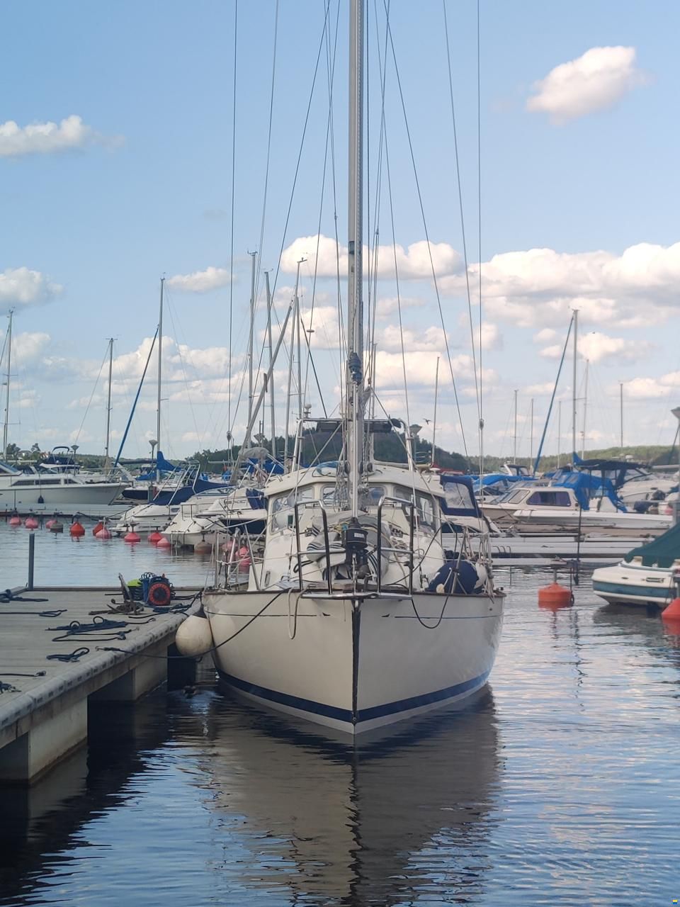 Harmony 31