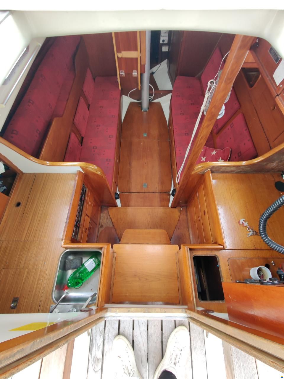 Harmony 31
