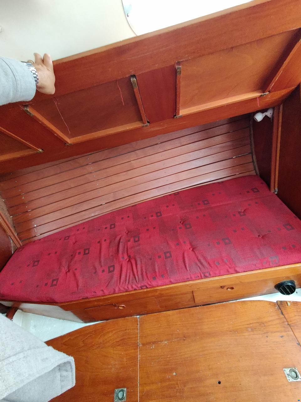 Harmony 31
