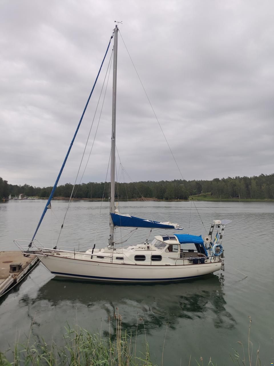 Harmony 31