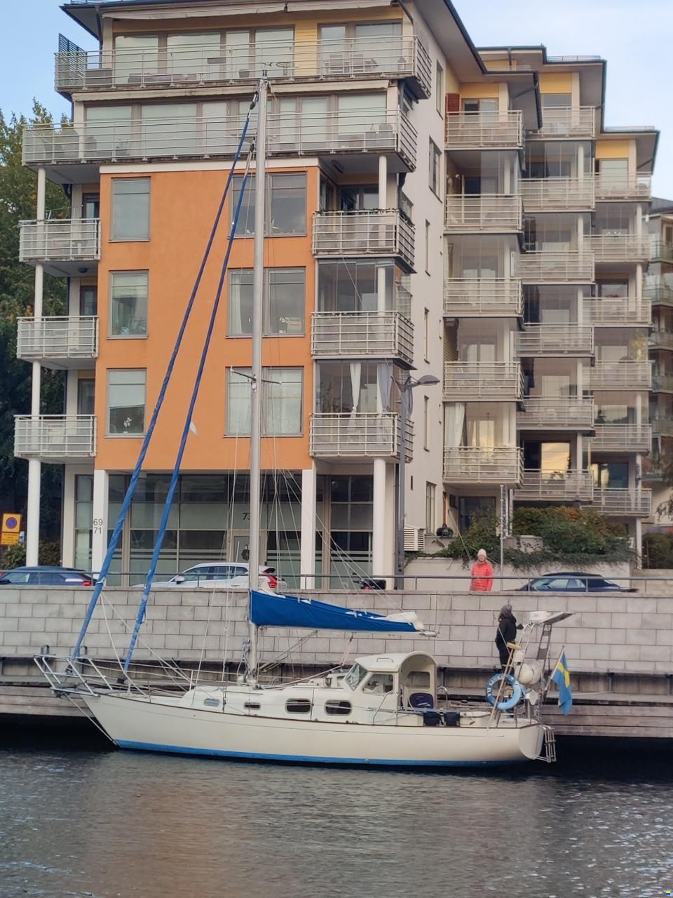 Harmony 31
