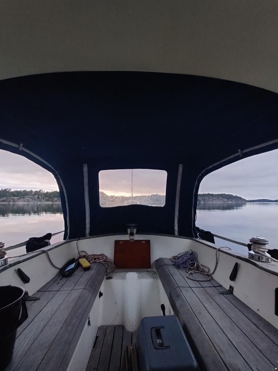 Harmony 31