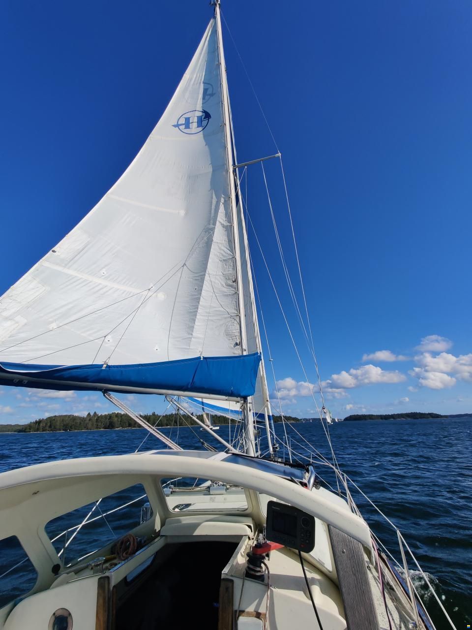 Harmony 31