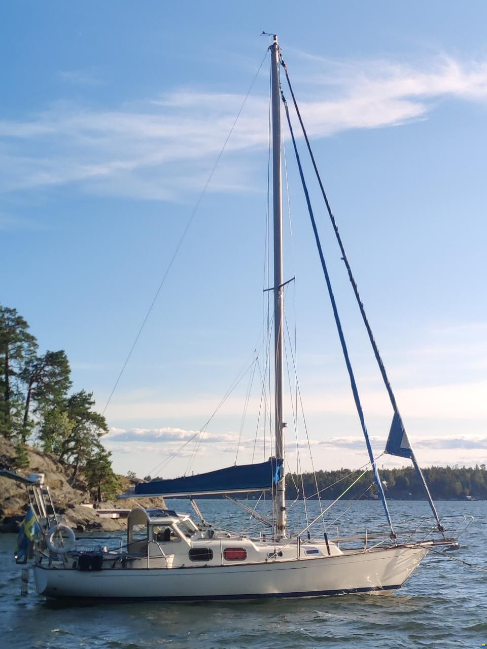 Harmony 31