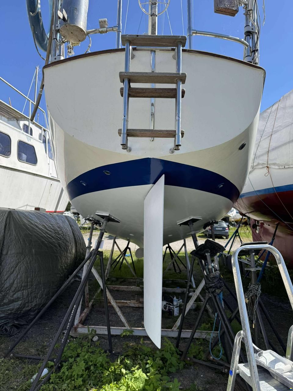 Harmony 31