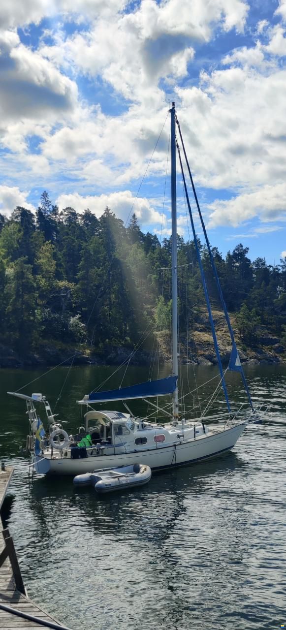 Harmony 31