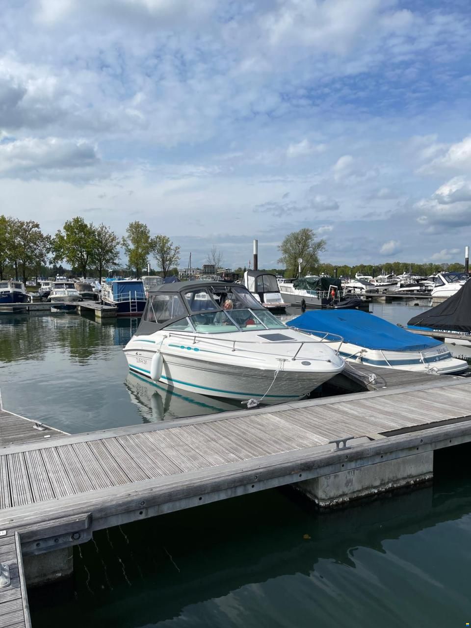 Sea Ray 215 EC