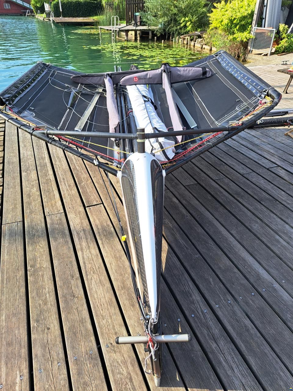 McConaghy Foiling Moth