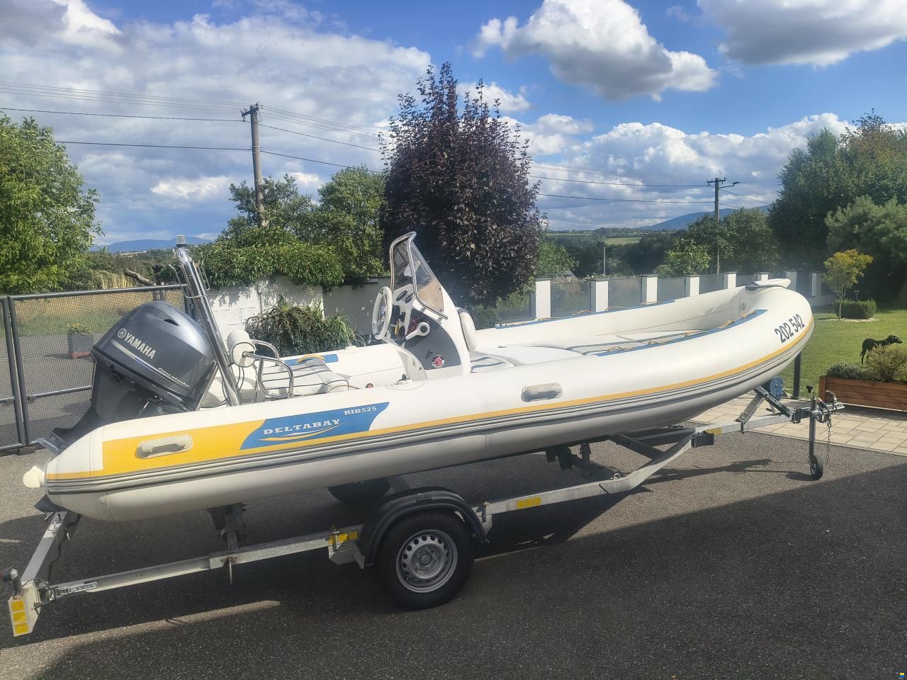 Delta RIB 525