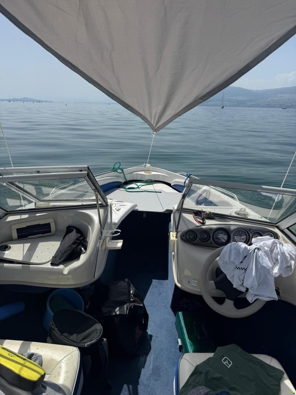 Campion Allante 485