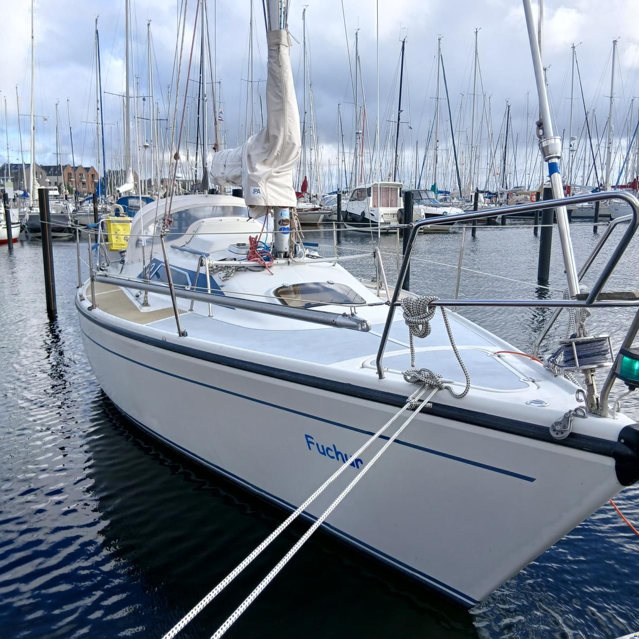 Dehler 31