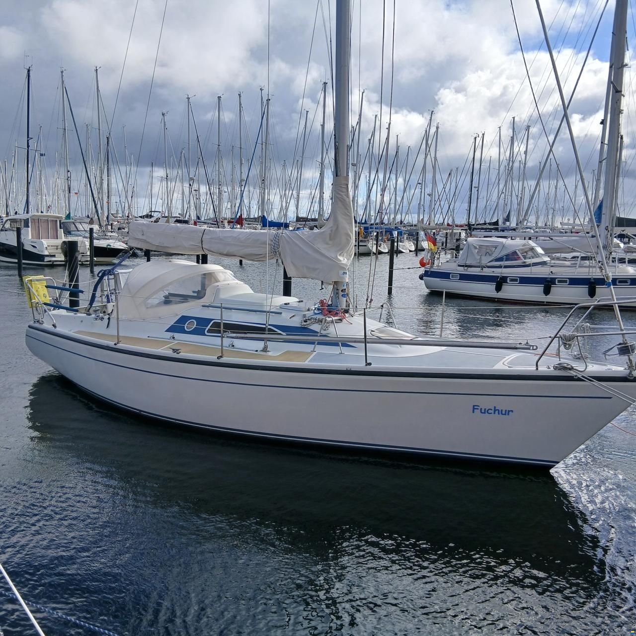 Dehler 31