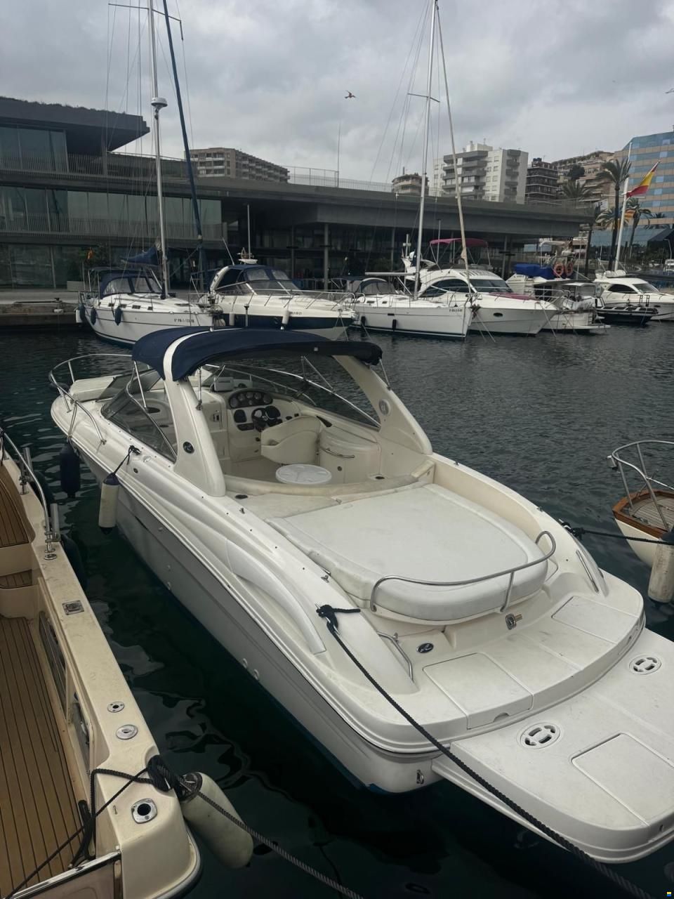 Sea Ray 290 SS