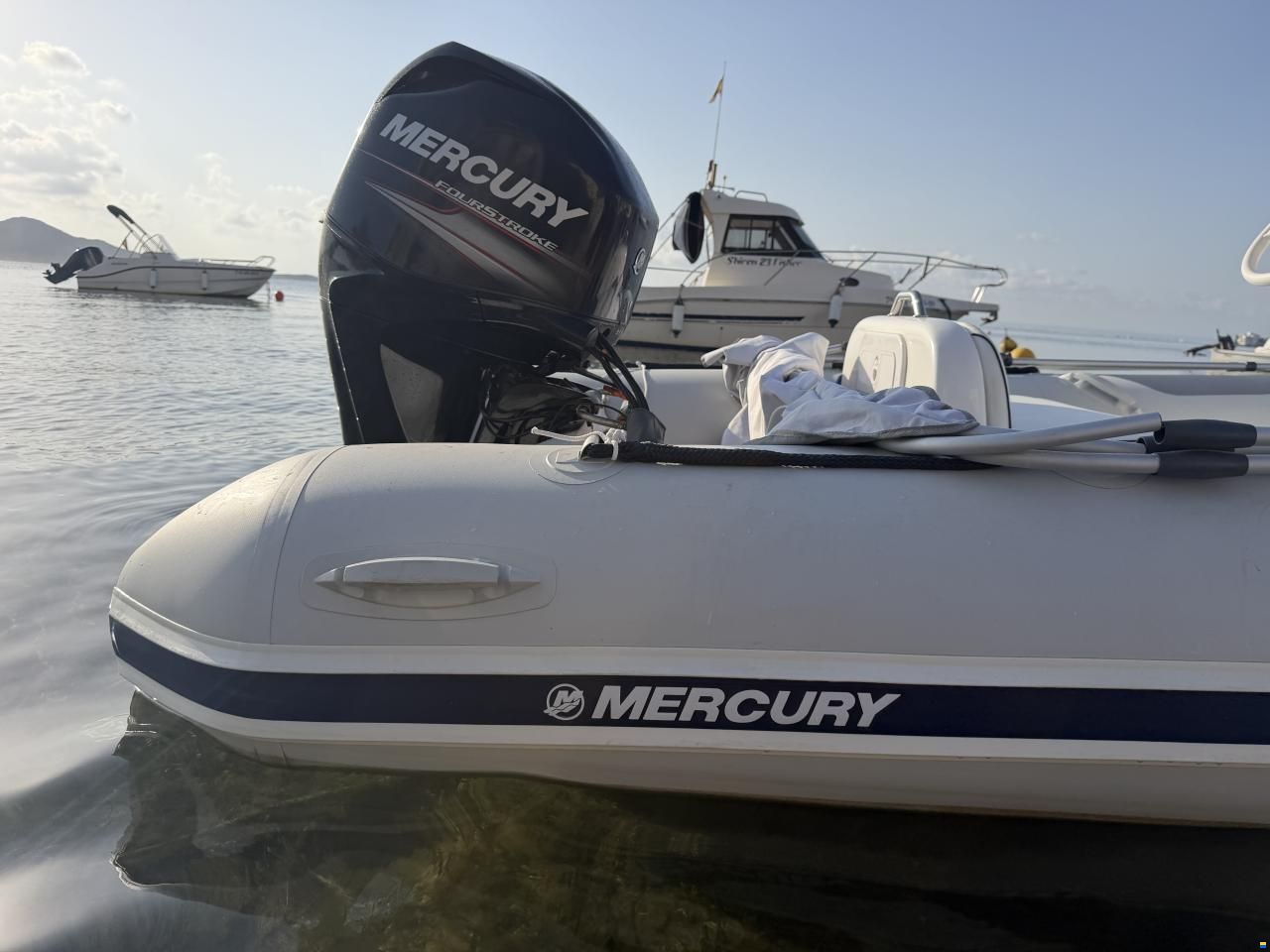 MERCURY 460