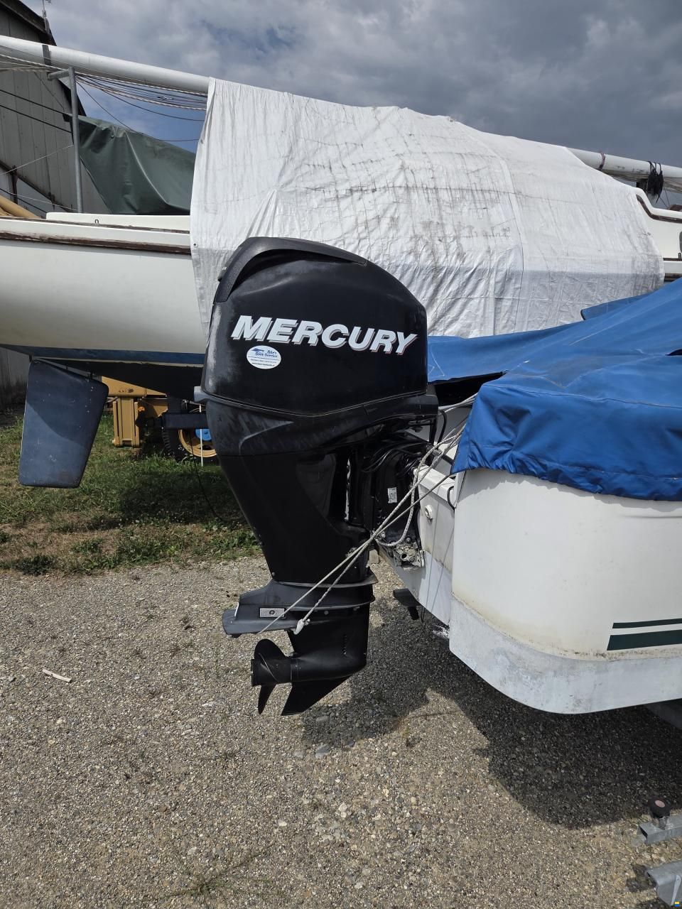Quicksilver 500 Fish