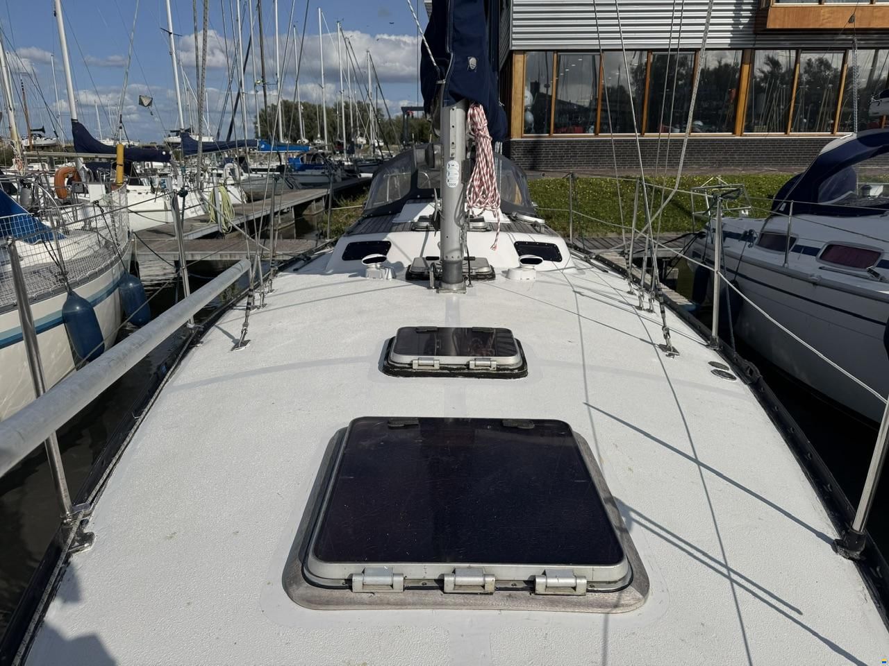 Ann 35