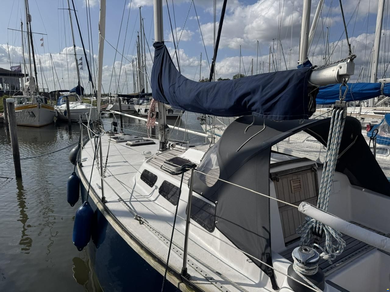 Ann 35