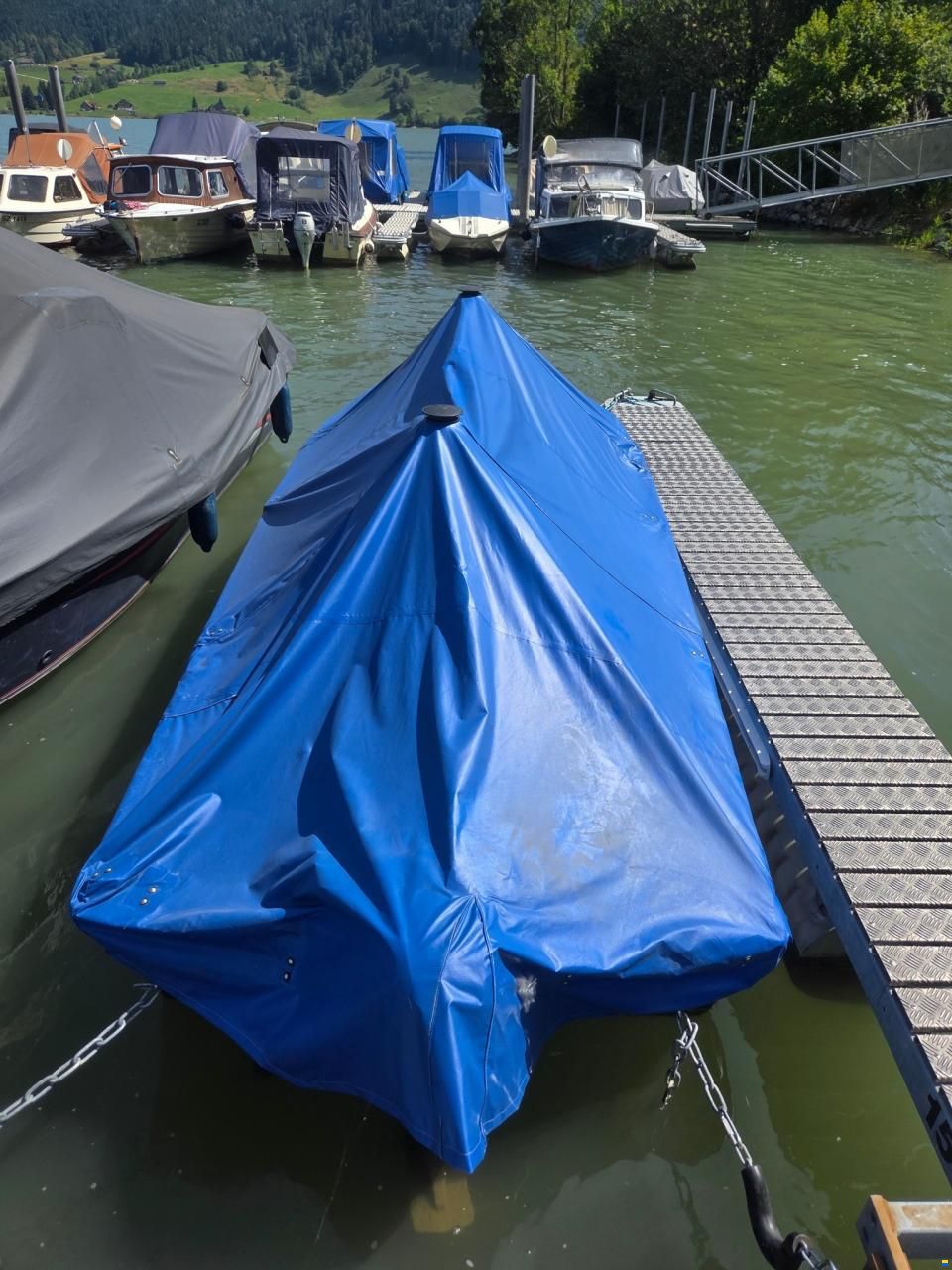 Marine Pro Marine 450 Fish