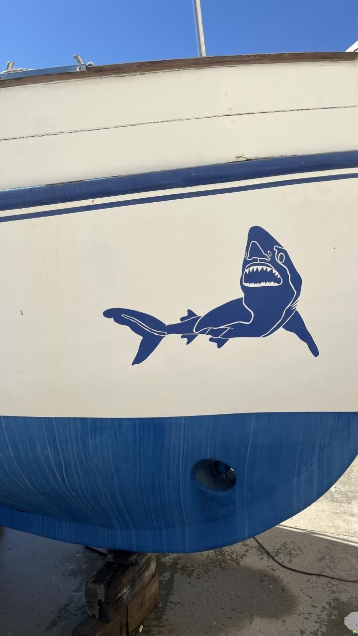 Apollo Wohnboot