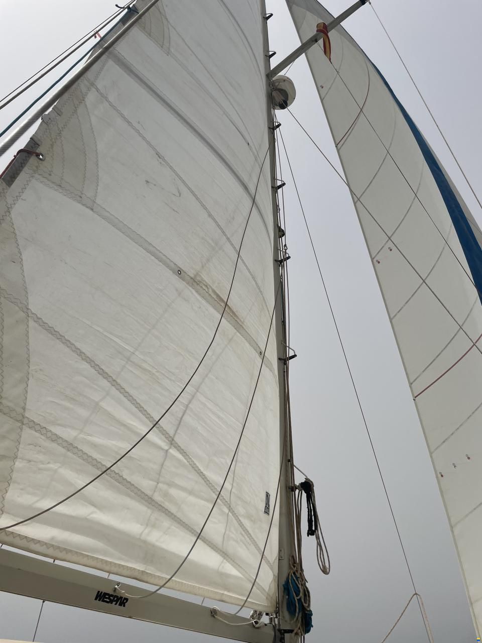 DEAN 365 Oceanliner