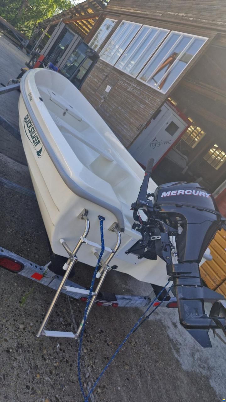Quicksilver 360 Fish