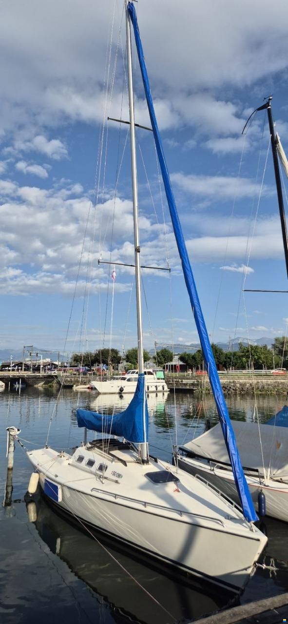 Moser Segelboot MOSER m31